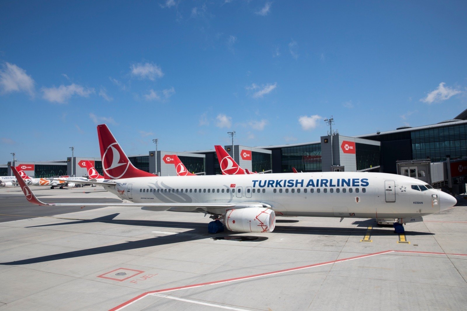 Türk Hava Yolları yolcu sayısı artıyor