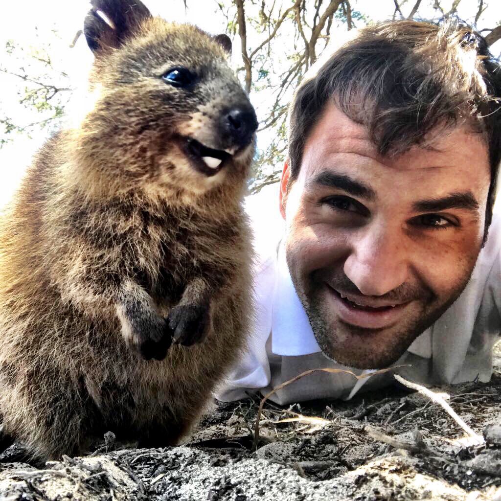 Roger Federer's famous selfie with a Quokka