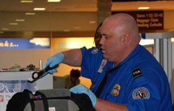 Powders TSA increased scruinty flights US