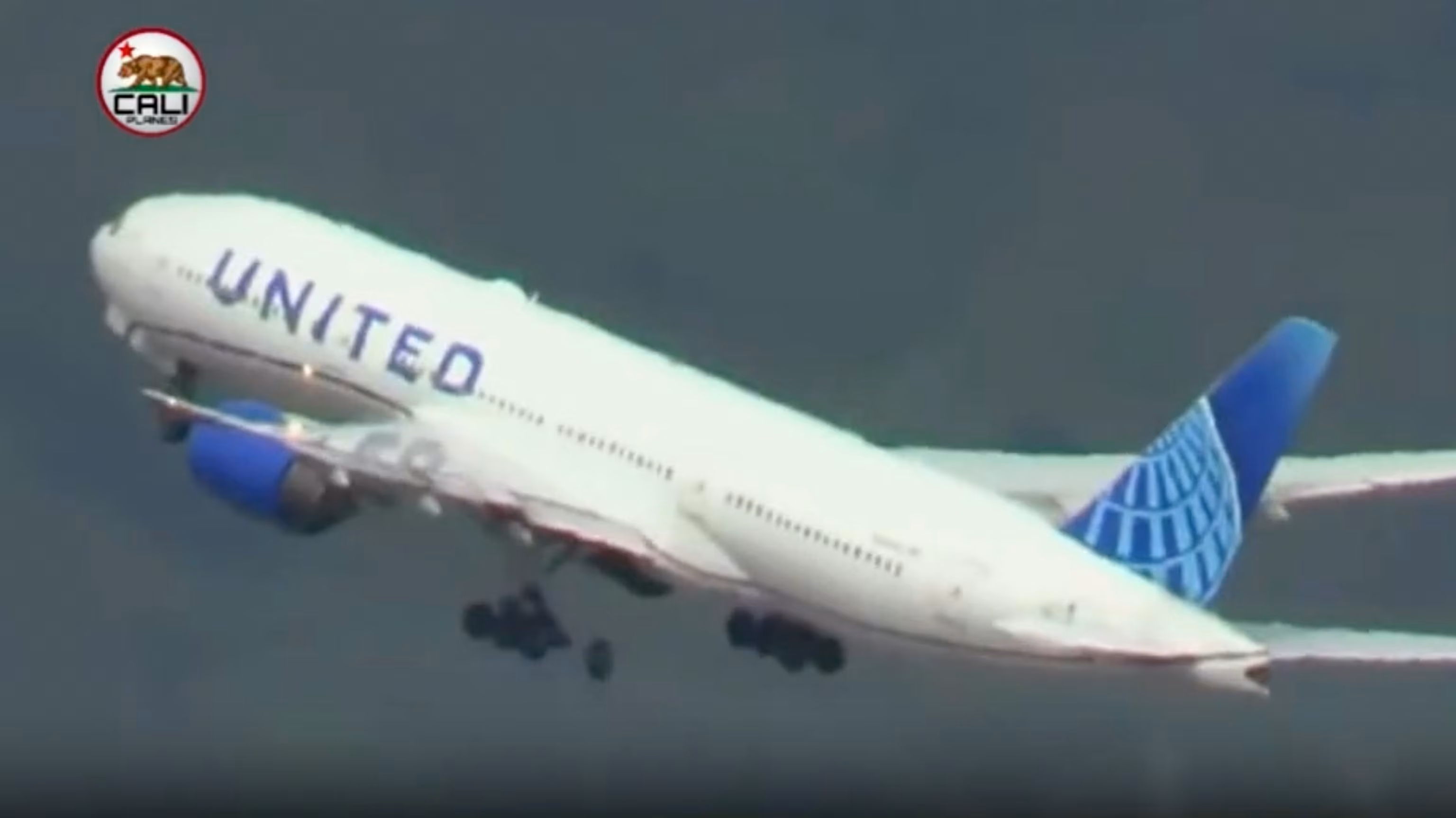 United Airlines Reviews: What to Know Before You Fly